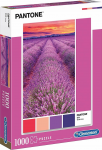 Pusle Clementoni Vivid Viola, 1000 tk