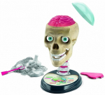 Loovkomplekt Clementoni Anatomy, roheline v./roosa v.