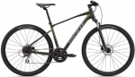 Jalgratas m&auml;gi- Giant Roam 3 Disc, 28 ", S raam, tumeroheline v.
