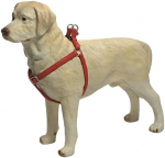 Koerte traksid Beeztees Harness, punane, 600 - 1000 mm x 25 mm, 60-100 x 2.5 cm