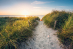 Fototapeet Komar Way to the Beach XXL4-076, 368 cm x 248 cm