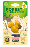 Auto &otilde;huv&auml;rskendaja Arexons Forest Club Squirrel Vanilla & Tea