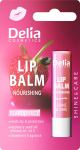 Huulepalsam Delia Cosmetics Shine & Care, 4.8 g