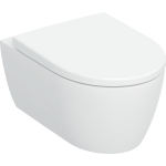 WC-pott, seinapealne Geberit iCOn, kaanega, 355 mm x 530 mm