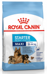 Kuiv koeratoit Royal Canin Maxi Starter, kanaliha, 15 kg