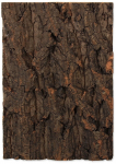 Terraariumi taust Repti Planet Background cork natural, 190 mm x 273 mm