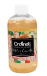 Kodul&otilde;hnastaja, t&auml;iendamiseks Ordinett Apple and Cinnamon, 250 ml