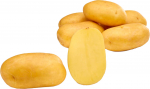 Seemnekartul Baltic Agro Sunshine 5kg (kartul), 5 kg