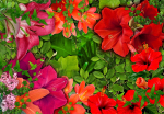 Fototapeet Artgeist Lilac Serenade, 70 cm x 100 cm