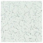 Tapeet Wall 340419, vin&uuml;&uuml;l, valge v.