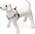 Koerte traksid Karlie ASP Step & Go, helehall v., 600 - 900 mm x 25 mm, XL