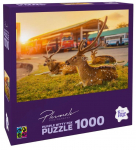 Pusle Brain Games Sri Lanka Trincomalee 19911, 48.2 cm x 68.2 cm, 1000 tk, mitmev&auml;rviline