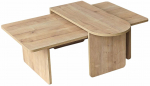 Kohvilaudade komplekt Kalune Design Paris, tammepuidu imitatsioon v., 33 - 60 cm x 105 cm x 35 - 40 cm, 2 tk