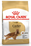 Kuiv koeratoit Royal Canin Cocker Adult, kanaliha, 3 kg