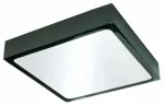 Valgusti lagi CristalRecord Kaju 02-606-30-280, LED, 4200 &deg;K, 1 x 30 W, valge v. / grafiit v., 22,5 x 22,5 cm