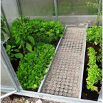 Kasvuhoonete vahek&auml;igu eraldaja Baumera, 2 m x 0.1 m