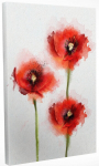 Reproduktsioon Wallity DC041, 40 cm x 30 cm