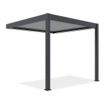 Aiatelk Pergola Elegance Wall Automatic, 309 x 256 cm, antratsiit v./helehall v.