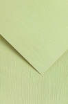 Dekoratiivpaber Galeria Papieru Oak, A4, 230 g/m&sup2;, roheline, 29.7 cm x 21 cm