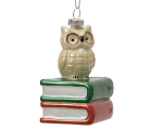 J&otilde;ulupuu ehe Decoris Owl, mitmev&auml;rviline, pol&uuml;st&uuml;rool