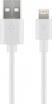 Juhe Goobay USB A male, Lightning 8 pin male, 0.5 m, valge