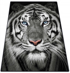 Vaip Conceptum Hypnose Savage 287CHL1486, valge/must/hall, 100 cm x 80 cm