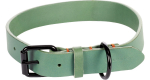 Kaelarihm koertele Flamingo Leano, roheline v., 470 - 570 mm x 30 mm, XL