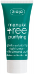 &Ouml;ine n&auml;okreem Ziaja Manuka Tree Gently Exfoliating, 50 ml, 12+