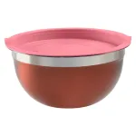 Toiduainekarbi komplekt Ambition Minestrone, punane v., 2 tk