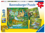 Pusle Ravensburger Jungle Fun 051809, 21 cm x 21 cm, 147 tk, mitmev&auml;rviline