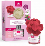 Kodul&otilde;hnastaja Cristalinas Scented Flower Blackberries, 40 ml
