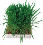 V&auml;ikeloomade toit Trixie Small Animal Grass, n&auml;rilistele, 0.1 kg