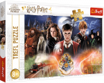 Pusle Trefl The Secret Harry Potter 23001, 60 cm x 40 cm, 300 tk, mitmev&auml;rviline