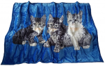Pleed KW-116, sinine v./must v./hall v., 160 cm x 210 cm