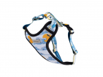 Koerte traksid Amiplay Discovery BeNature, sinine, 600 - 850 mm x 25 mm, XL