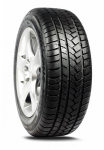 Talverehv Malatesta Tyre, taastatud 205/55/R16, 91-V, E, F
