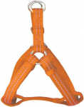 Koerte traksid Zolux Reflex, oranž