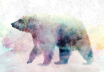 Fototapeet Artgeist Lonely Bear, 70 cm x 100 cm
