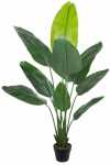 Kunsttaim potis Home4you Wind Bird of Paradise, must v./roheline v., 150 cm