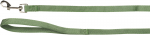 Koera rihm Flamingo, roheline v.