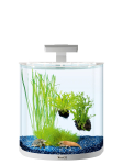 Akvaarium Tetra Explorer, valge v., varustusega, 30 l