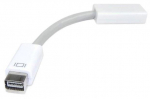 Adapter Qoltec Adapter DVI-mini to HDMI Mini DVI male, HDMI female, 0.15 m, valge v.