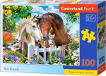 Pusle Castorland Best Friends 369054, 29 cm x 40 cm, 100 tk, mitmev&auml;rviline