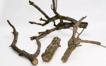 Akvaariumi dekoratsioon Terra Natura Oak Branch, pruun v., 60 cm