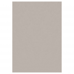 Vaip sise Ayyildiz 2403405400, beež v., 340 cm x 240 cm