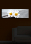 Reproduktsioon Wallity 3090&Yacute;ACT-12, 30 cm