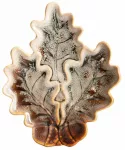 Dekoratiivne taldrik Homla Crispo 751295, 23 cm x 19 cm
