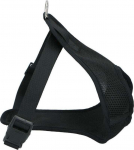 Koerte traksid, must v., L