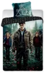 Laste voodipesukomplekt Harry Potter, mitmev&auml;rviline, 140 x 200 cm