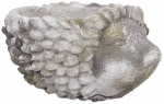 Lillepott Home4you Hedgehog, betoon, 20 cm x 15 cm, hall